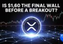 $XRP Hits Wallet ATH – Is $1.60 the Final Wall Before a Breakout?