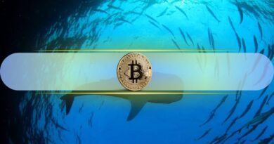 Are Whales Tightening Their Grip on Bitcoin Exchange Supply?