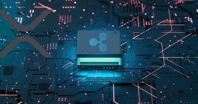 Expert Says Ripple’s XRP Is Designed For More, Here’s What He Means