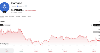 Hyperliquid Closes in on Cardano: Is HYPE Price On Verge of Pump to $50?