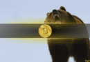 Retail Sentiment Turns Bearish While Bitcoin Holdings Rise Across Both Small and Large Wallets