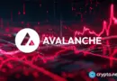 Avalanche’s AVAX clings to $9 support as ‘digital commodity’ label meets weak tape