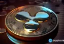 XRP ETF inflows surge as network activity hits March highs