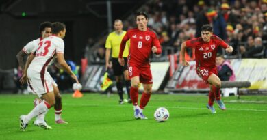Wales vs. Bosnia-Herzegovina 2026 livestream: How to watch World Cup Qualifiers for free