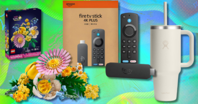 The top Amazon Big Spring Sale deals under $25: Lego, Fire TV Sticks