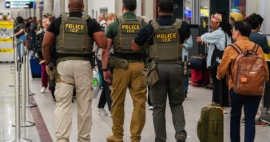 Federal immigration agents filmed making airport arrests as Trump calls in ICE to ease security line delays