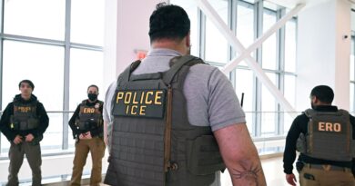ICE Agents Frustrate Airport Workers as Shutdown Drags On