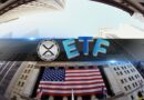 Ripple ETFs Hit New All-Time High But XRP Price Fails to Capitalize