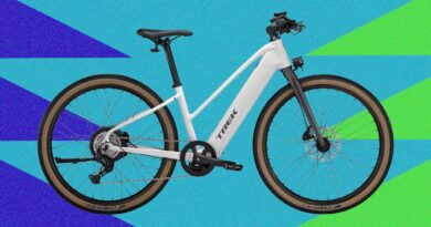 Best Electric Bikes (2026): Commuting, Cargo Bikes, Mountain Biking