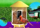 The Smart Bird Feeders Everyone’s Talking About (and Actually Buying) (2026)