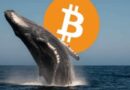 Bitcoin flirts with $72K while a whale bets $80M it won’t last