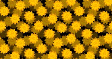 De-fi platform Drift suspends deposits and withdrawals after millions in crypto stolen in hack