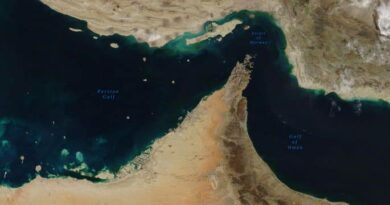 Chinese naval fleet heads to Strait of Hormuz amid US blockade tensions