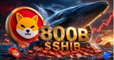 Shiba Inu Whale Moves 800B SHIB, Sparks Market Focus Shift