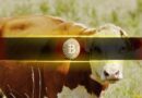 Bitcoin Market Structure Continues to Improve as Bullish Undertones Build: Glassnode