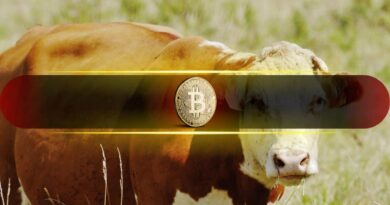 Bitcoin Market Structure Continues to Improve as Bullish Undertones Build: Glassnode