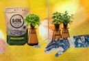 15 Best Gifts for Plant Lovers and Gardeners (2026)