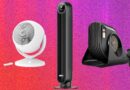 The 13 Best Fans to Buy Before It Gets Hot Again (2026)
