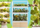 Best Indoor Garden Systems: I’ve Been Testing All Year (2026)