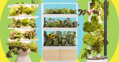 Best Indoor Garden Systems: I’ve Been Testing All Year (2026)