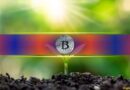 How $619M Midweek Bleed Was Erased by Massive One-Day Crypto Inflow