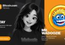 Why Wadoozie Is Ditching Online Hype for Real-World Participation