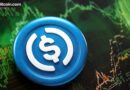 Circle Q1 Revenue Rises as USDC Transaction Volume Jumps 263%