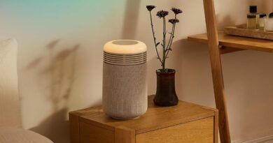Best air purifier deal: Take 70% off the Blueair Mini Restful