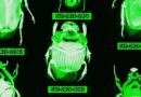 The AI Era Is Creating a Bug Hunting Arms Race