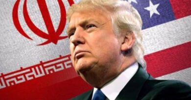 Trump pauses ‘Project Freedom’ in Hormuz amid Pakistan mediation efforts