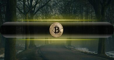 Bitcoin and Gold Are Bleeding