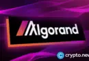 Algorand races toward quantum-resistant blockchain by 2027