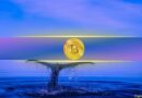 Bitcoin Dips Below $64K Again: Here’s How Whales Reacted