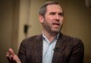 Crypto Analyst Challenges Ripple’s CEO Take on Strategy: ‘Two Giants, Same Model’