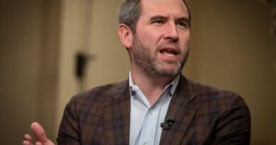 Crypto Analyst Challenges Ripple’s CEO Take on Strategy: ‘Two Giants, Same Model’