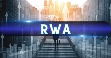 Tokenized Stocks and RWAs Are Becoming Fastest-Growing Categories