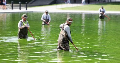Why the Reflecting Pool Is Full of Algae After Trump’s Renovation