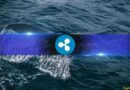 XRP Whales Are Moving On, and Binance Is No Longer Their Top Choice