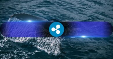 XRP Whales Are Moving On, and Binance Is No Longer Their Top Choice