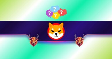 SHIB Price Rally on the Way?
