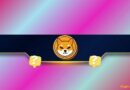 Shiba Inu (SHIB) Investors Face Big Questions After 65% Yearly Collapse