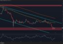 Seller Exhaustion Signs Emerge as XRP Prepares for Recovery