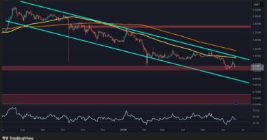 Where XRP Could Go Next After Its Weekly Rejection