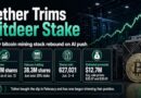 Tether Trims Bitdeer Stake After AI Push Lifts Bitcoin Mining Stock