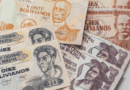 Bolivia Abandons Fixed Exchange Rate Scheme After 15 Years, Adopting a Floating Dollar System