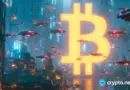 GoMining launches Bitcoin commerce tool that cuts out fiat