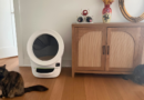 Litter-Robot EVO review: A mostly-reliable litter box for apartments that should be cheaper