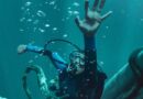 ‘Whalefall’ trailer dares to ask: But what if you got swallowed by a whale?