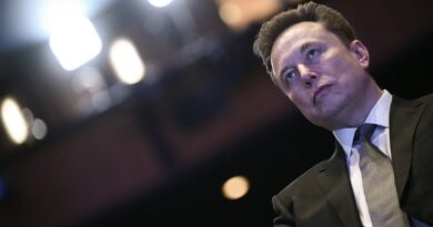 Elon Musk endorses immigrant deportations before SpaceX IPO