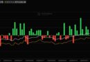 Bitcoin ETF News: BTC ETFs Hit 10-Day Outflow Streak, Is Institutional Hype Over?